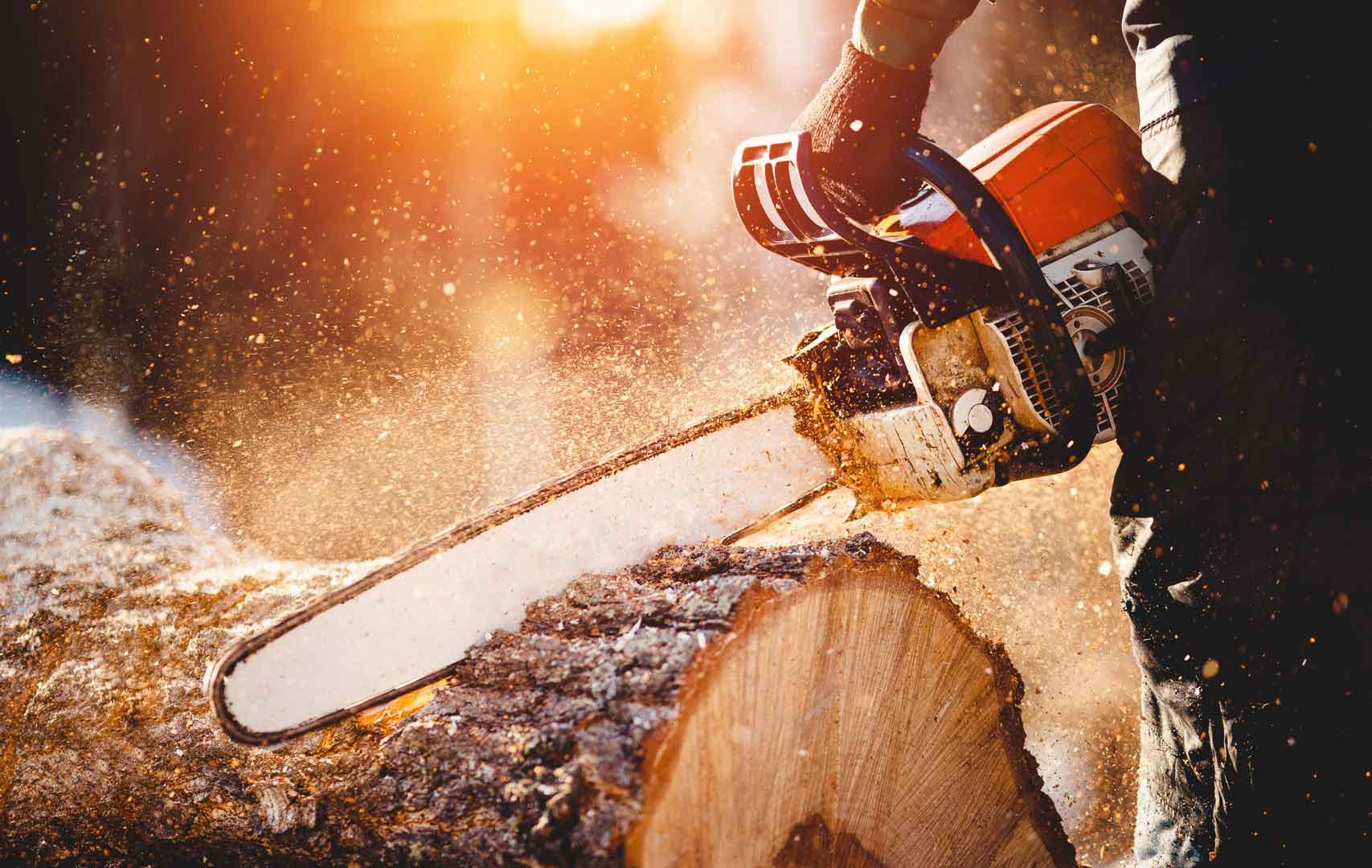 chainsaw training melbourne