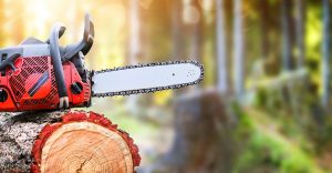 chainsaw resting upon a log
